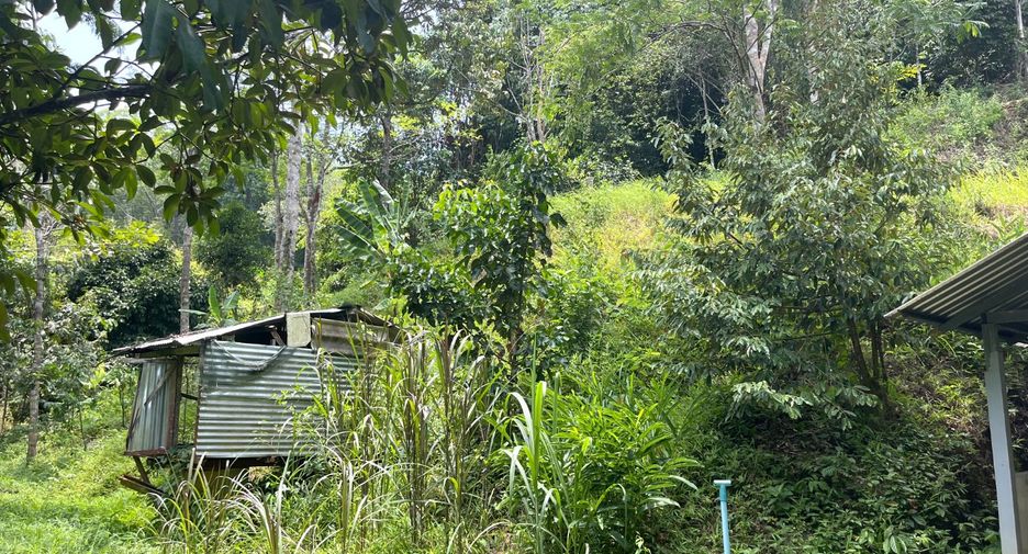 À vendre terrain à Takua Thung, Phang Nga