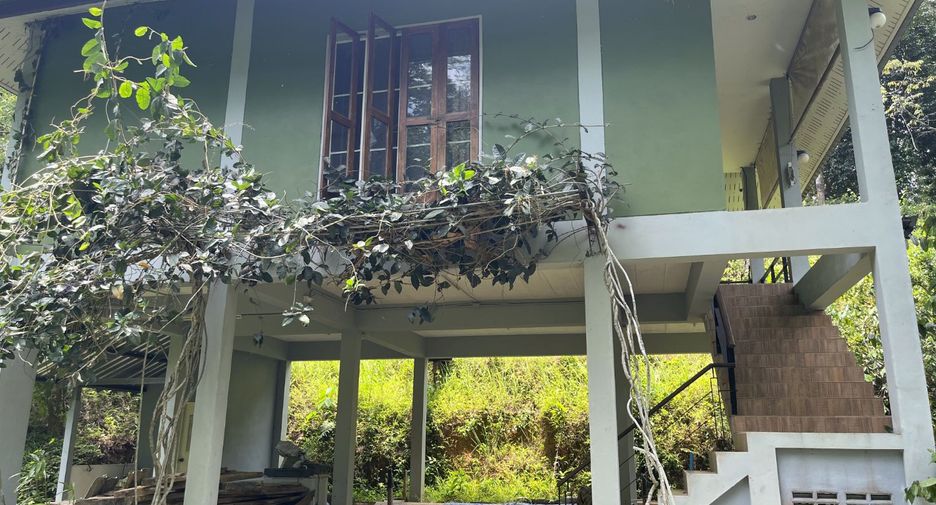 À vendre terrain à Takua Thung, Phang Nga