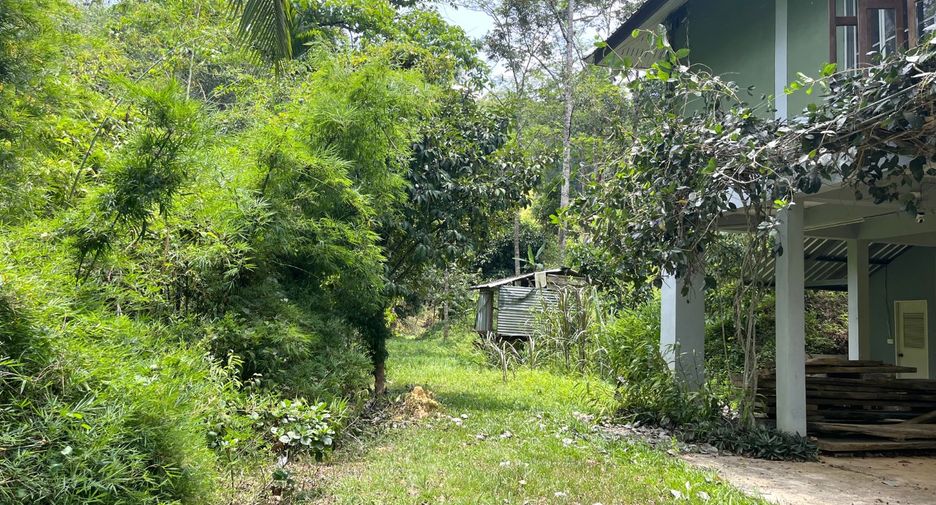 À vendre terrain à Takua Thung, Phang Nga