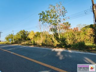 For sale land in Mueang Phetchabun, Phetchabun