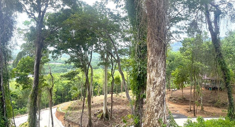 For sale land in Takua Thung, Phang Nga