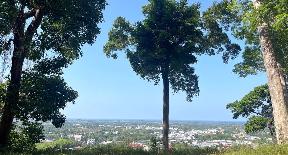 For sale land in Takua Thung, Phang Nga