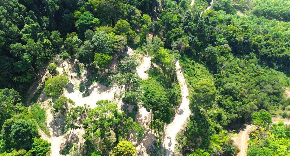 For sale land in Takua Thung, Phang Nga