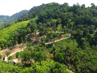 Terreno en venta en Takua Thung, Phang Nga