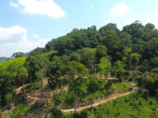 Terreno en venta en Takua Thung, Phang Nga