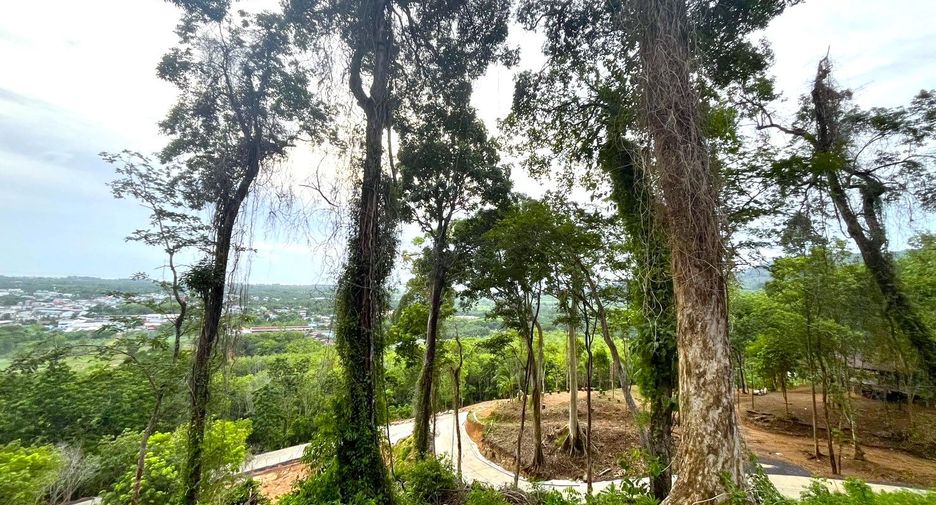 For sale land in Takua Thung, Phang Nga