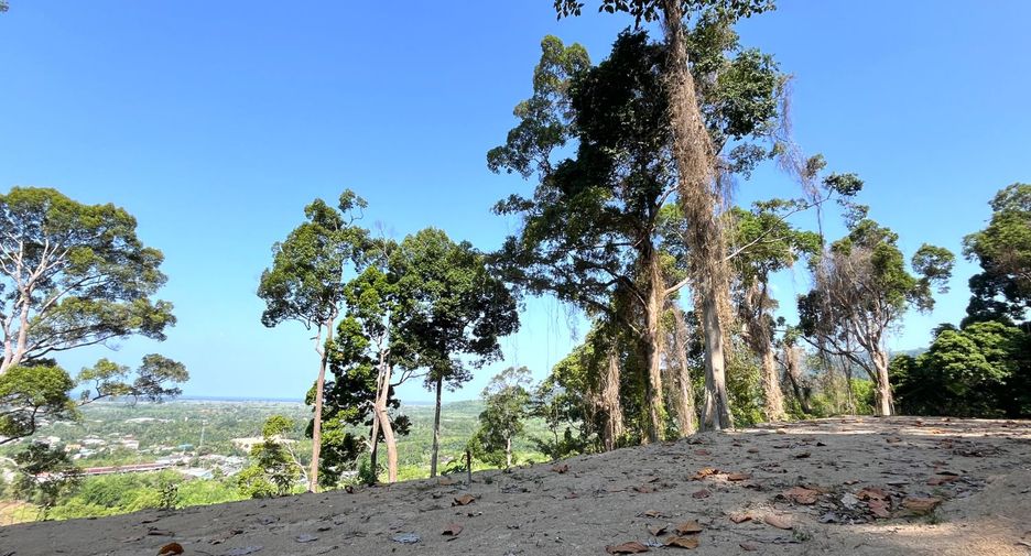 For sale land in Takua Thung, Phang Nga