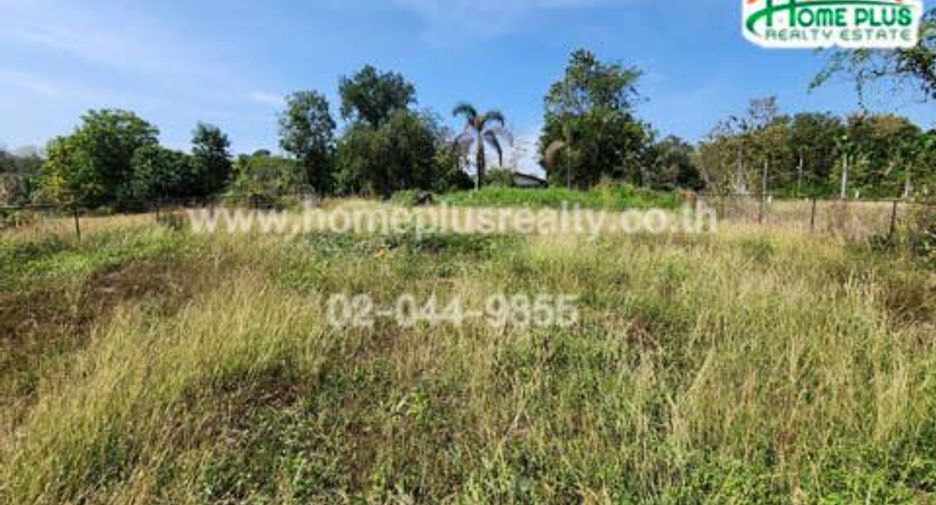 For sale land in Nong Phai, Phetchabun