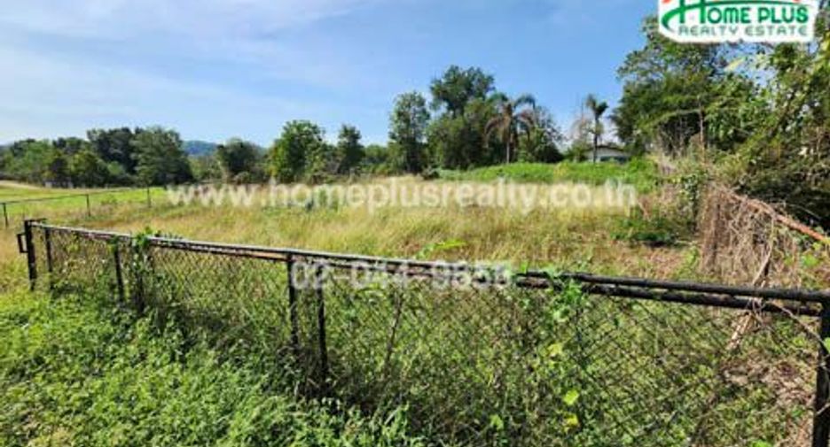 For sale land in Nong Phai, Phetchabun