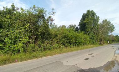 ขาย ที่ดิน ใน บางกล่ำ, สงขลา