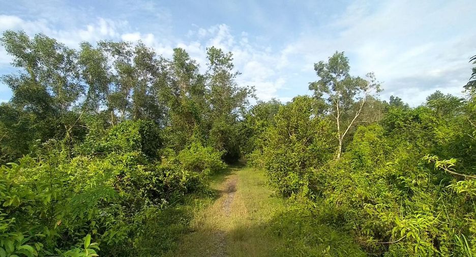 Terreno en venta en Bang Klam, Songkhla