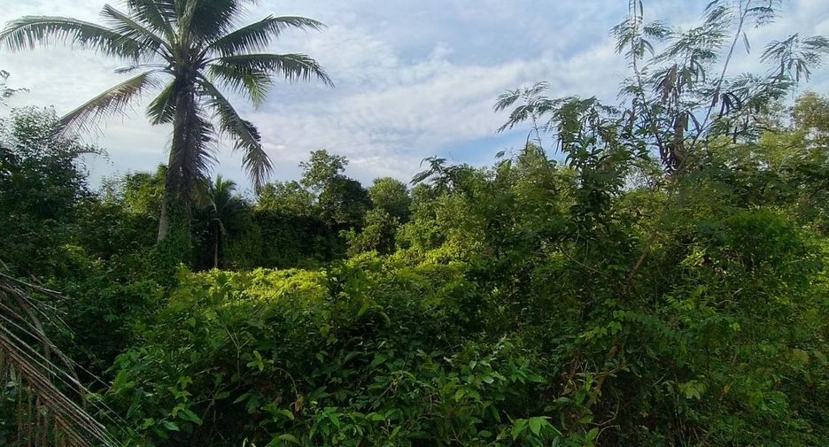 Terreno en venta en Bang Klam, Songkhla