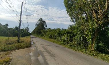 ขาย ที่ดิน ใน บางกล่ำ, สงขลา