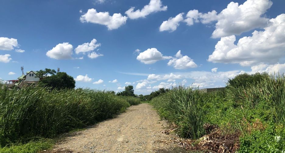 For sale land in Bang Khun Thian, Bangkok