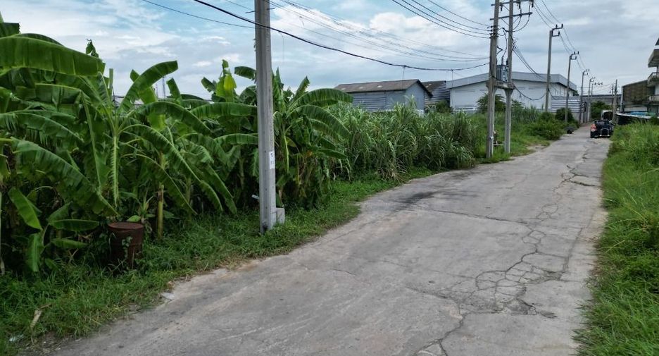 Аренда и продажа Участок в Phra Pradaeng, Самутпракан