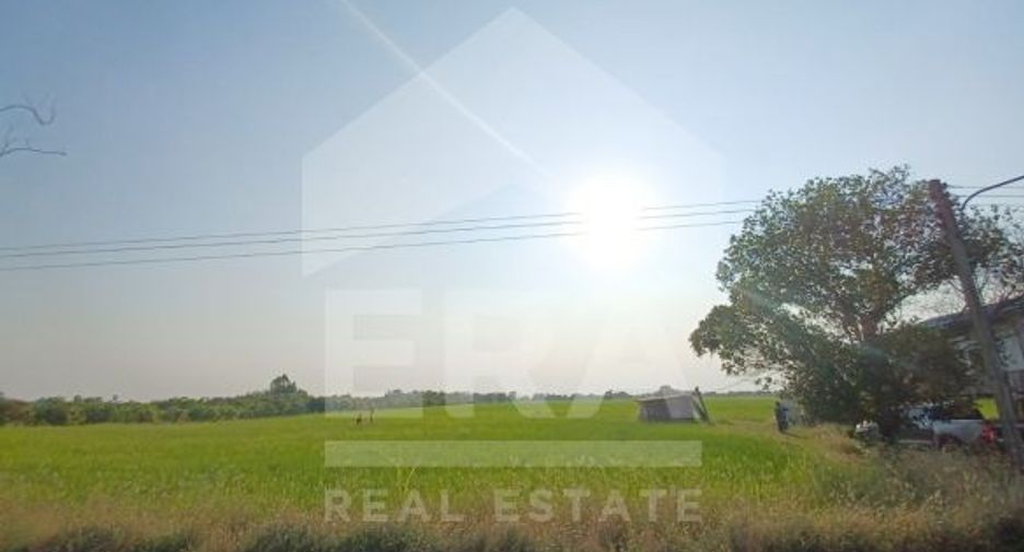 For sale land in Si Nakhon, Sukhothai