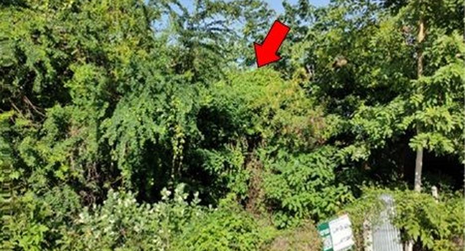 For sale land in Sawankhalok, Sukhothai