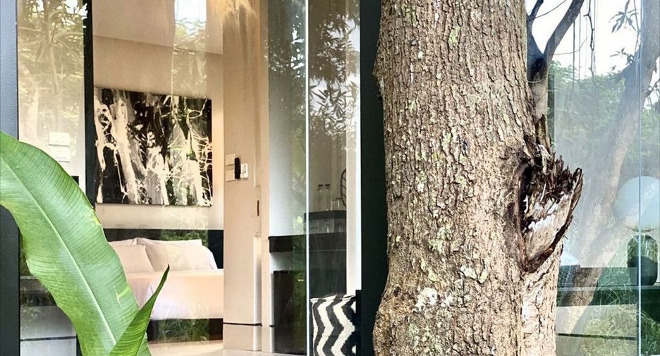 For sale 8 bedrooms house in Mae Rim, Chiang Mai