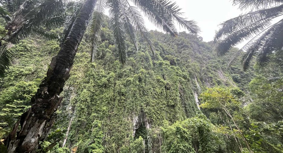 For rent land in Mueang Krabi, Krabi