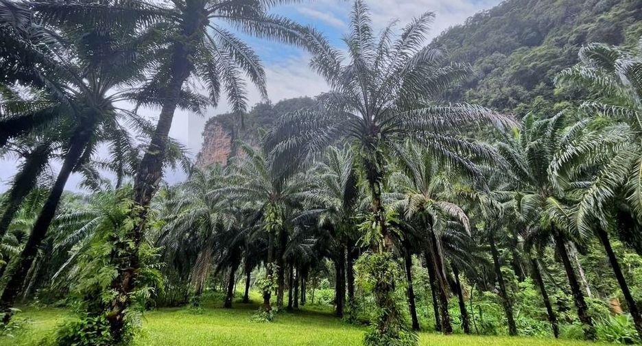 For rent land in Mueang Krabi, Krabi