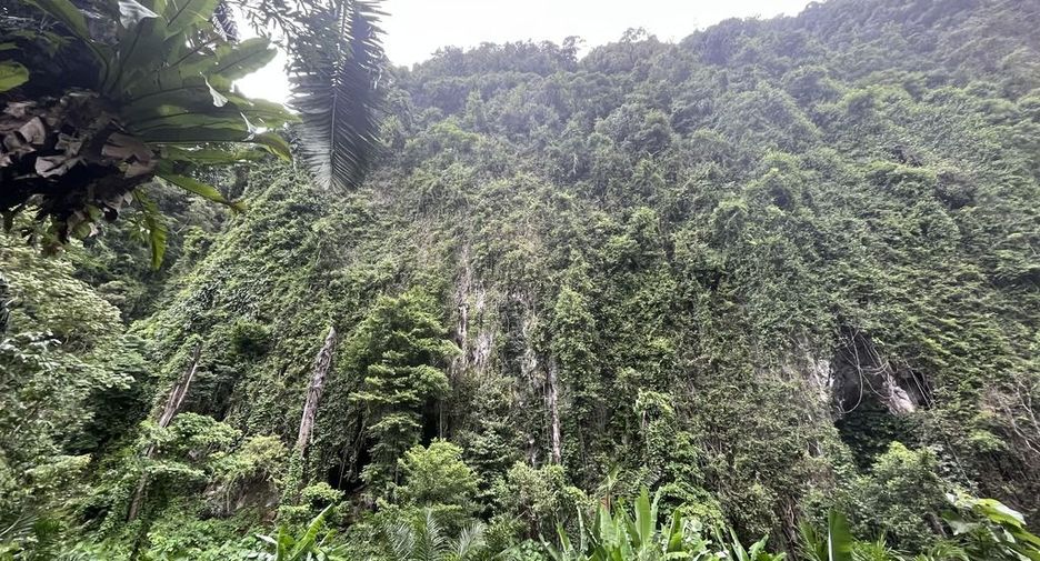 For rent land in Mueang Krabi, Krabi