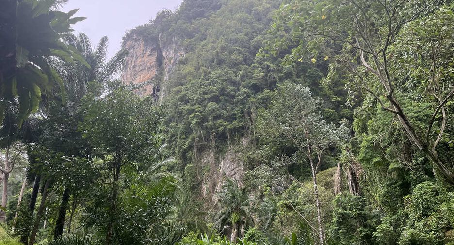 For rent land in Mueang Krabi, Krabi