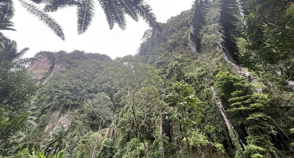 For rent land in Mueang Krabi, Krabi