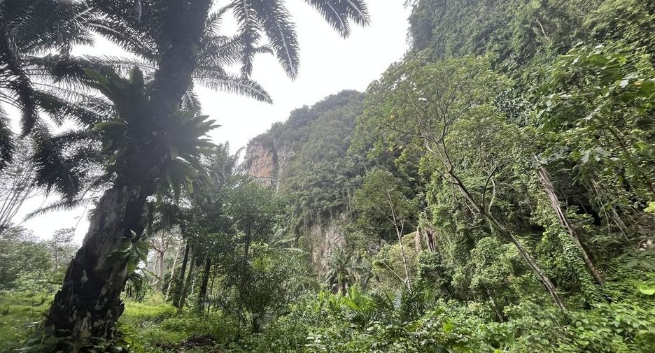 For rent land in Mueang Krabi, Krabi