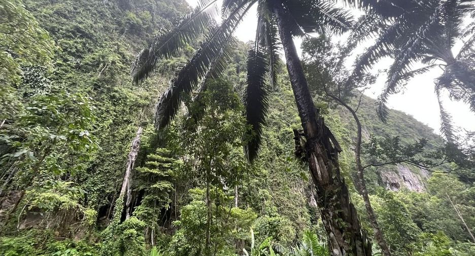 For rent land in Mueang Krabi, Krabi