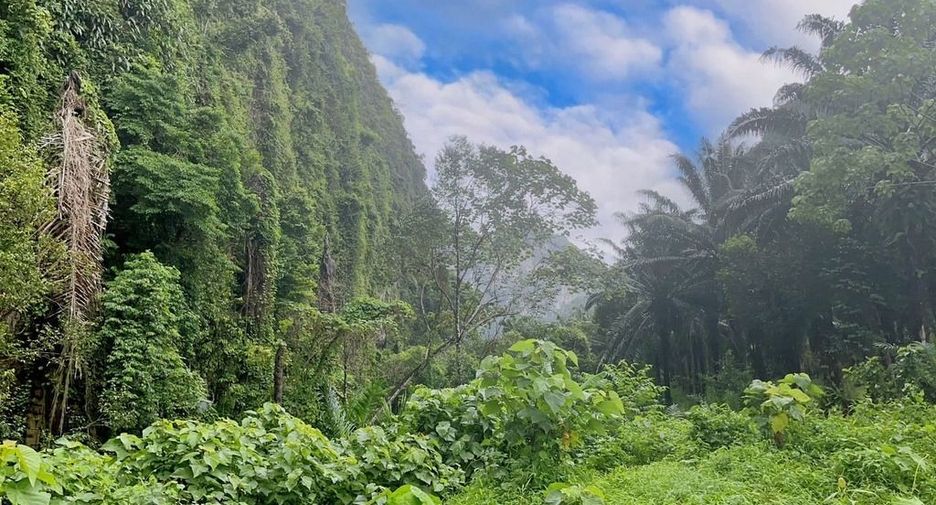 For rent land in Mueang Krabi, Krabi