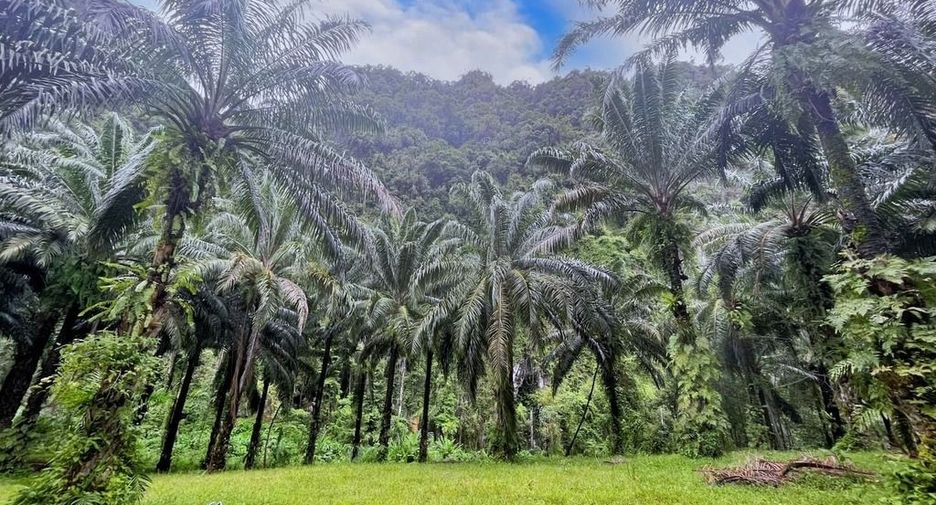 For rent land in Mueang Krabi, Krabi