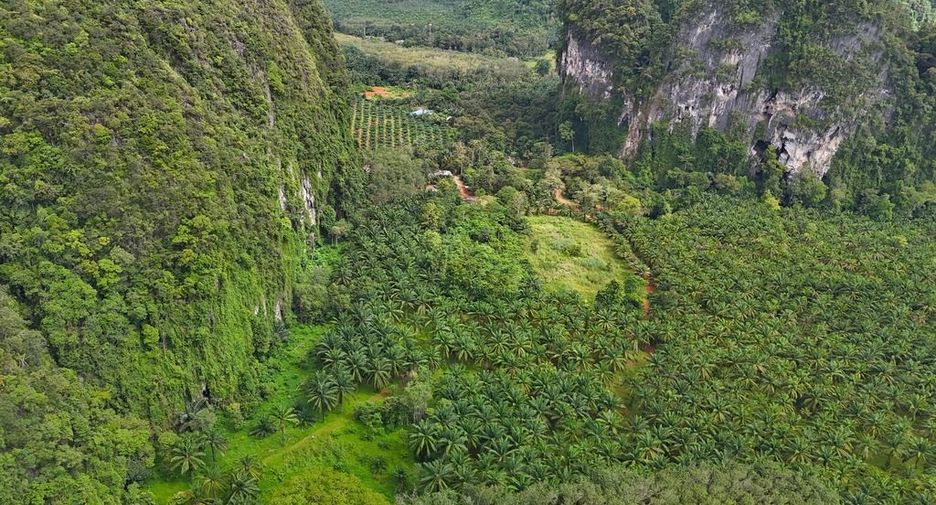 For rent land in Mueang Krabi, Krabi
