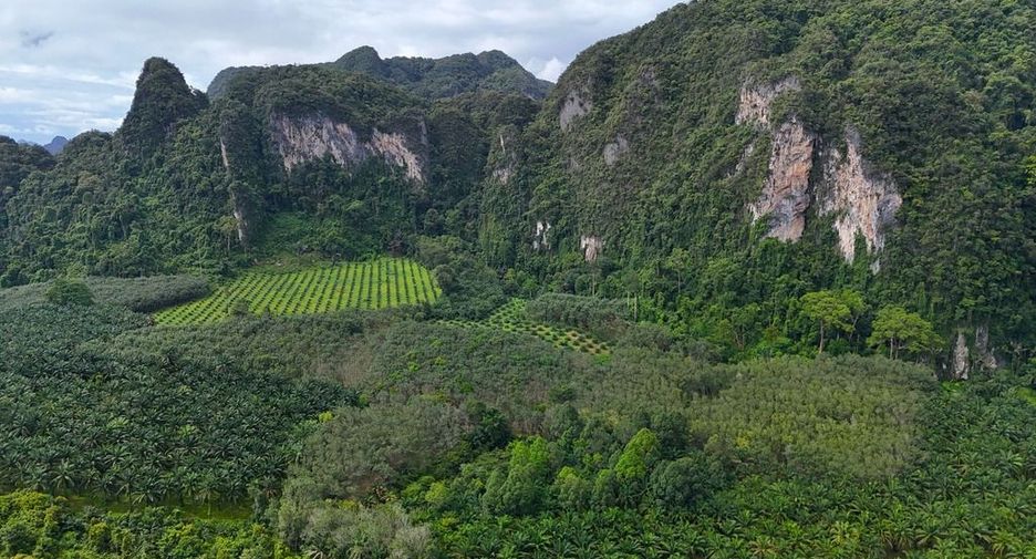 For rent land in Mueang Krabi, Krabi