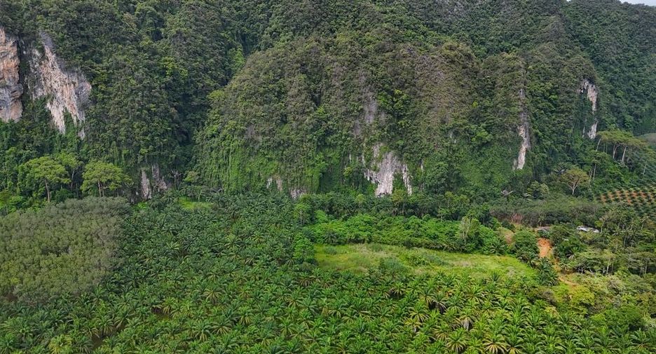 For rent land in Mueang Krabi, Krabi