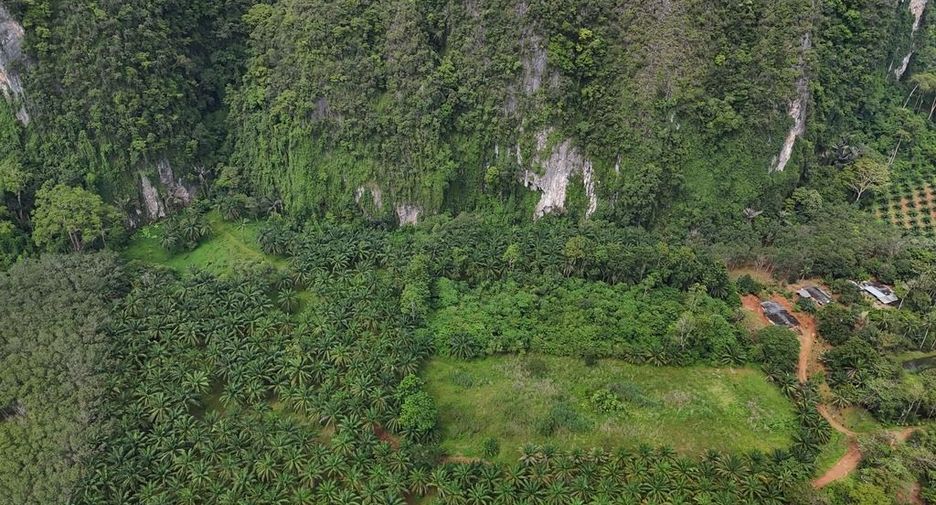 For rent land in Mueang Krabi, Krabi