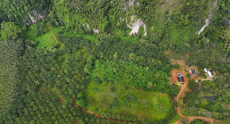 For rent land in Mueang Krabi, Krabi