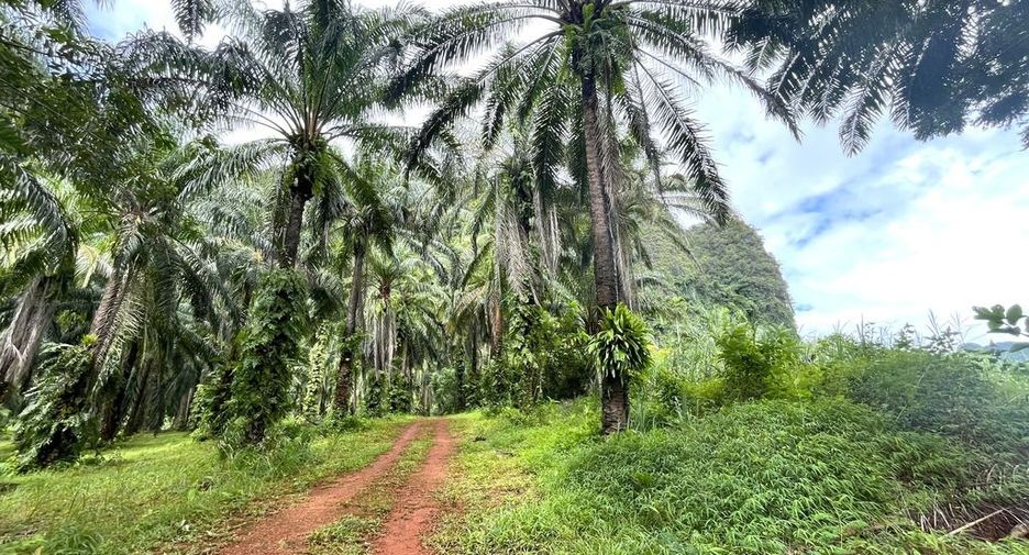 For rent land in Mueang Krabi, Krabi
