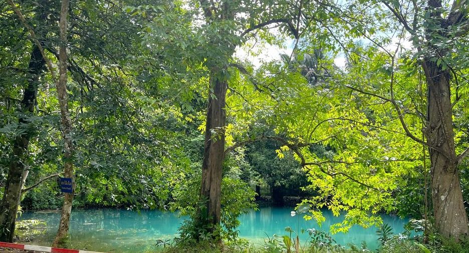 For rent land in Mueang Krabi, Krabi