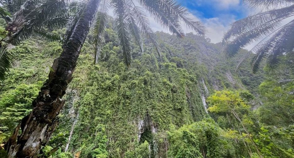 For rent land in Mueang Krabi, Krabi