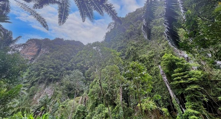 For rent land in Mueang Krabi, Krabi