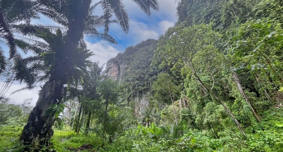 For rent land in Mueang Krabi, Krabi