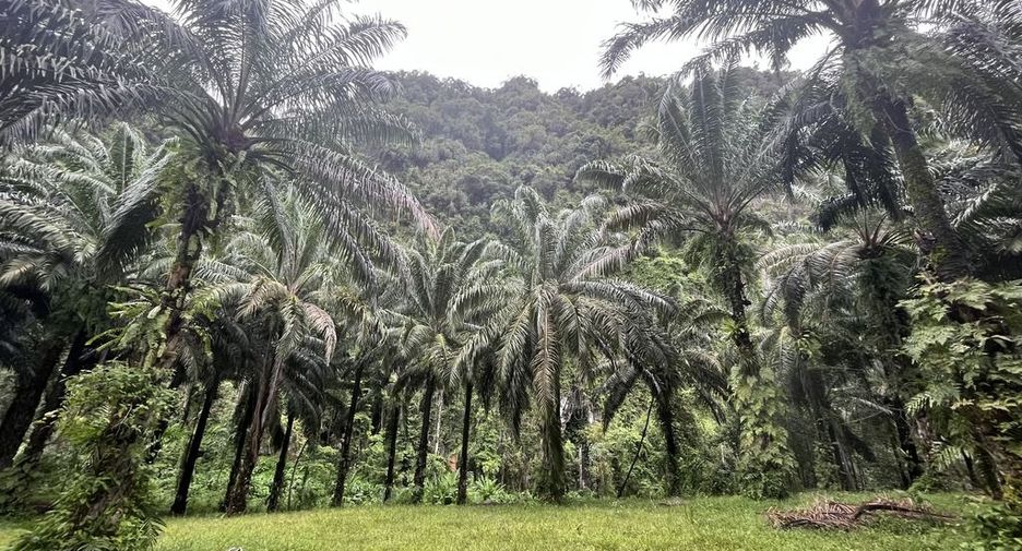 For rent land in Mueang Krabi, Krabi