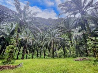For rent land in Mueang Krabi, Krabi