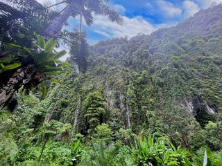 For rent land in Mueang Krabi, Krabi