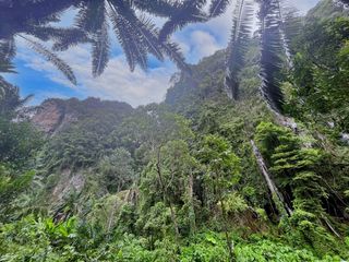 For rent land in Mueang Krabi, Krabi