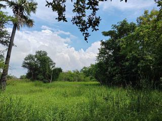 For sale land in Mueang Nakhon Ratchasima, Nakhon Ratchasima