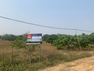 For sale land in Fang, Chiang Mai
