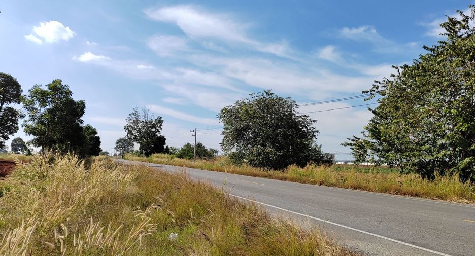 For sale land in Chakkarat, Nakhon Ratchasima