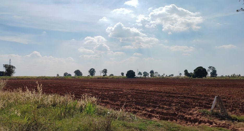Grundstück zum Kauf in Chakkarat, Nakhon Ratchasima