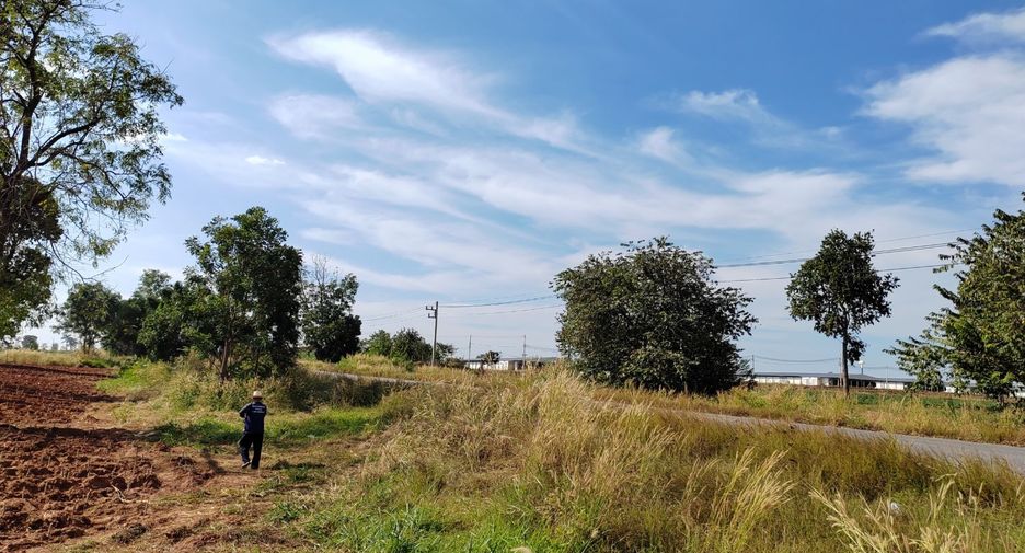 Grundstück zum Kauf in Chakkarat, Nakhon Ratchasima